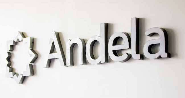 Andela and Venture Capital