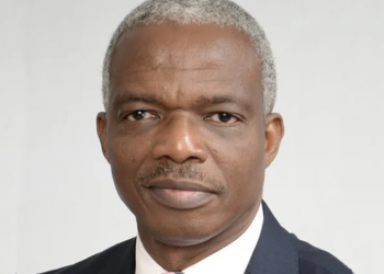 Buhari appoints Doyin Salami as Chief Economic Adviser