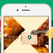 Why is the FoodTech Sector Thriving in Nigeria