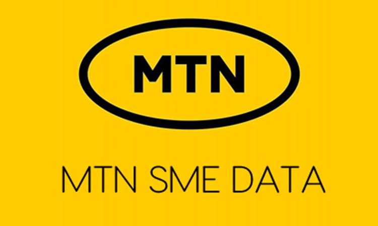 MTN Introduces *460*600# for SME Learning