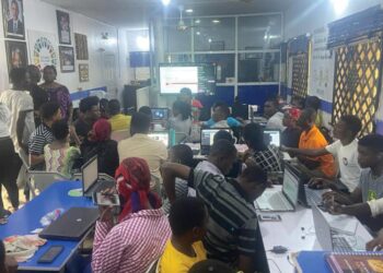 Innovation is the Key to Creating Jobs, Driving Growth in Nigeria, SA