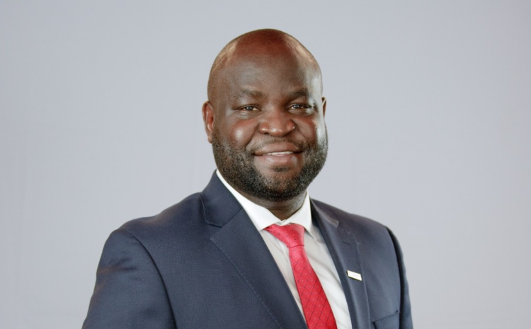 John Niyi Olajide Cavista Nigeria CEO