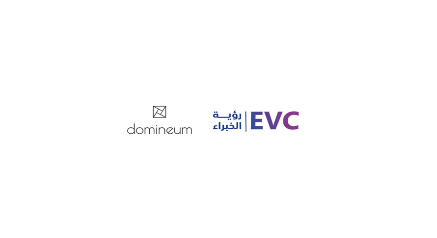 Domineum and Expert Vision Consulting (3)