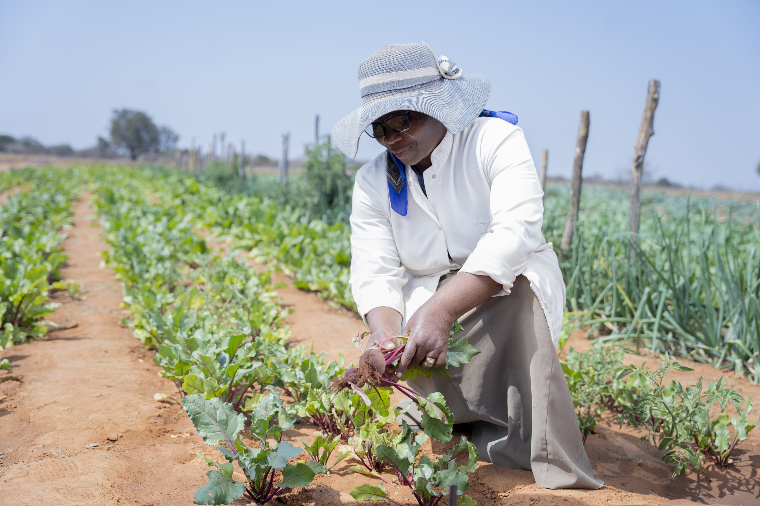 2022 AYuTe Africa Challenge: ThriveAgric, DigiCow, Brastorne emerge as Winners