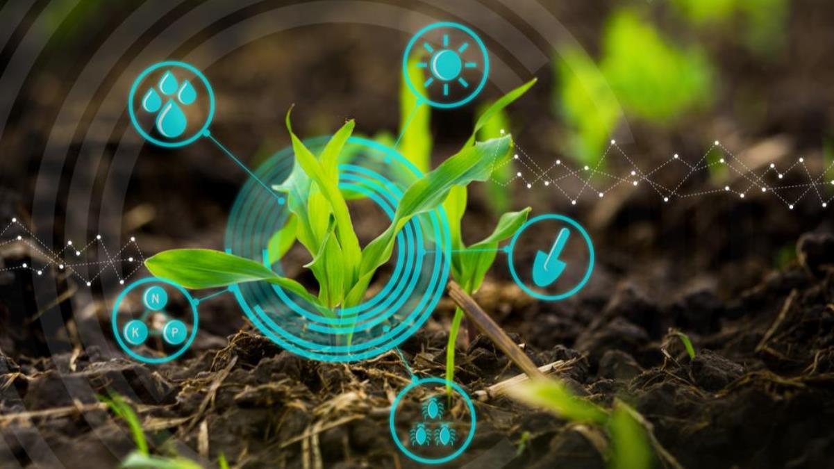 Top AgriTech Startups to Watch in 2023