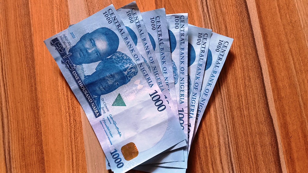 Nigerian Economy, Naira, Naira Redesign, Inflation, Currency, NGN, Naira Notes