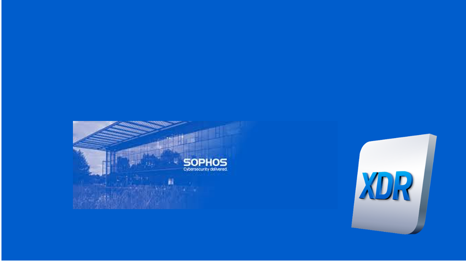 Sophos is the Top Ranked, Sole Leader in Omdia Universe Report