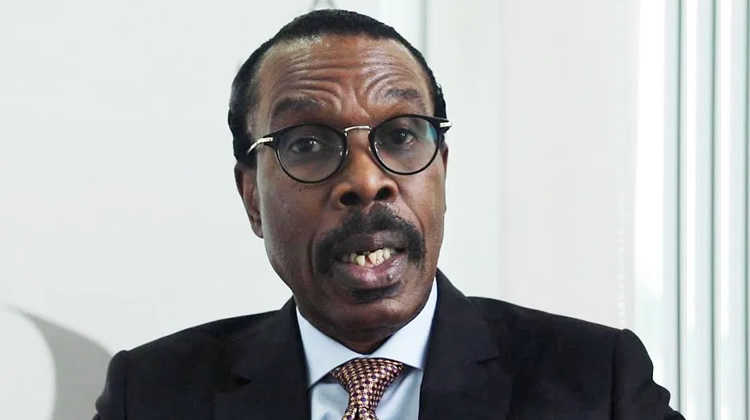 Naira Crisis, Bismarck Rewane