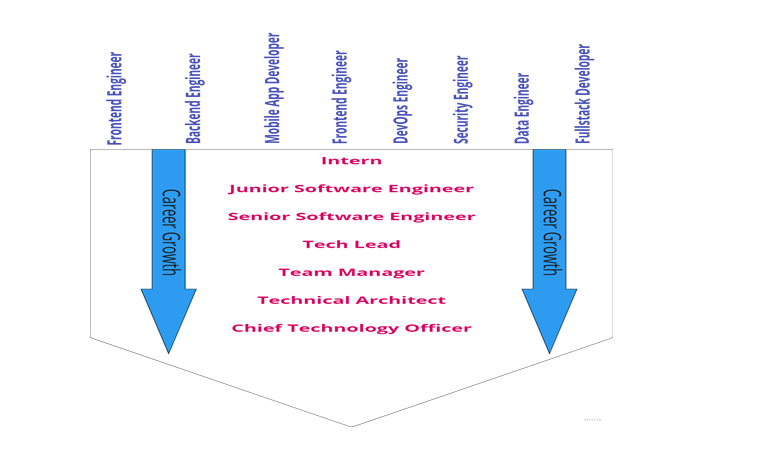 Career Paths in Software development