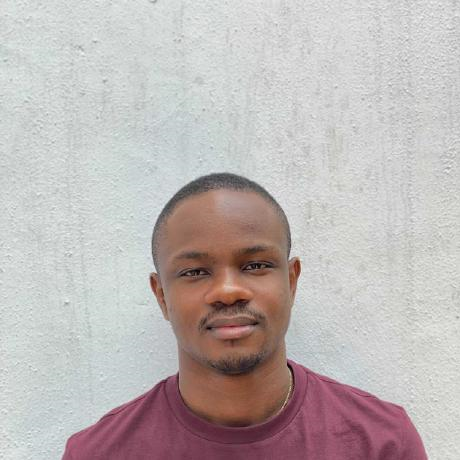 software engineers Nigeria - Dotun Jolaosho