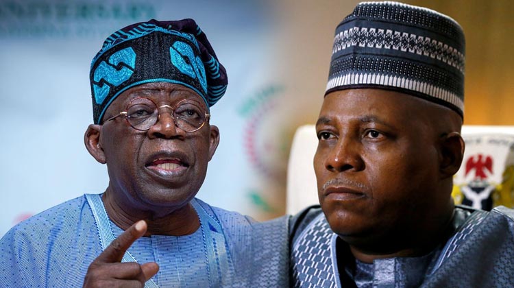 Public Affairs Analysts Advise Bola Tinubu and Kashim Shettima by 