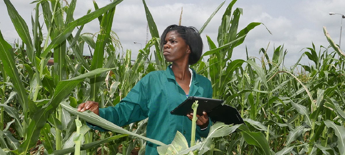 Ecobank supports Youths in Agribusiness