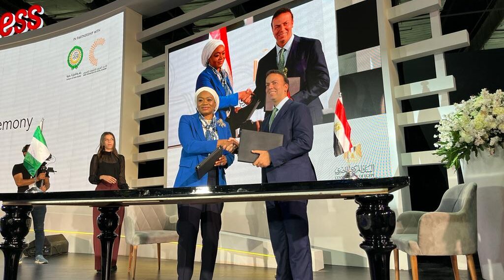 Nigeria, Egypt Forge FinTech Collaboration to Streamline Cross-Border Payments