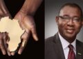 Africa's Economic Challenges by Evans Woherem