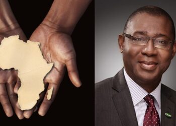 Africa's Economic Challenges by Evans Woherem