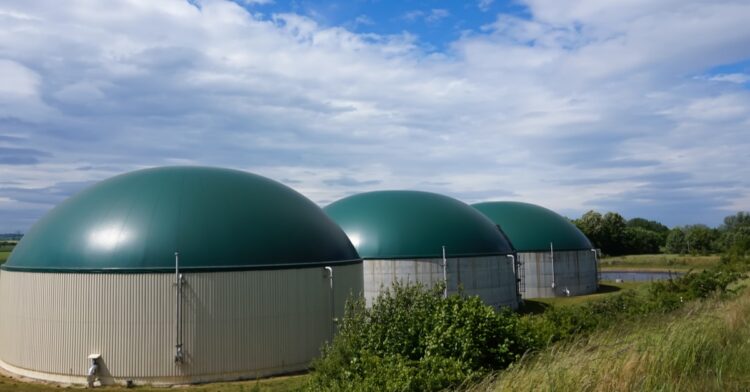 Biomass Power Plant