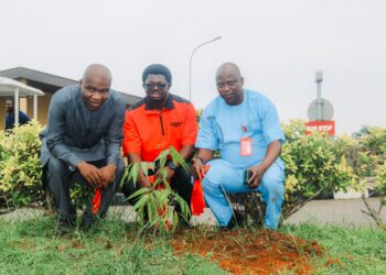 Egbin Power commemorates Tree Planting Day
