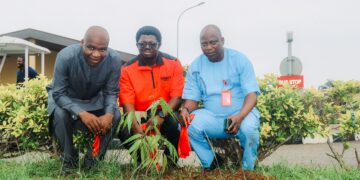 Egbin Power commemorates Tree Planting Day