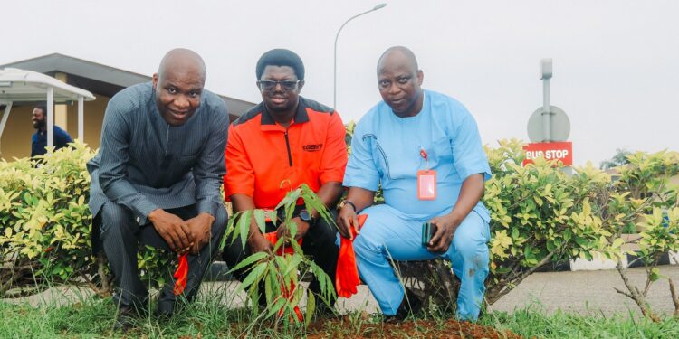 Egbin Power commemorates Tree Planting Day