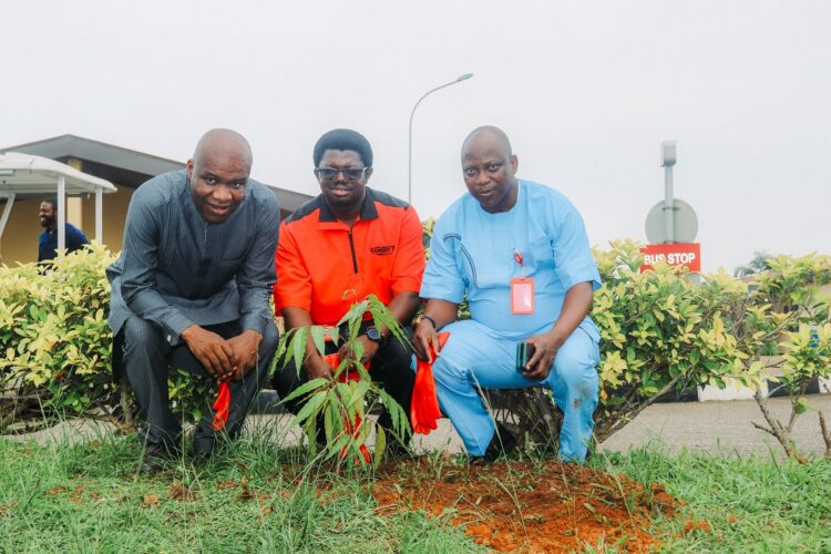 Egbin Power commemorates Tree Planting Day