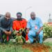 Egbin Power commemorates Tree Planting Day