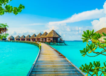 Travel Trends and Destinations for the Second Half of 2023