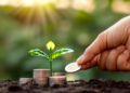 climate financing in Africa - Photo by LinkedIn