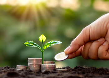 climate financing in Africa - Photo by LinkedIn
