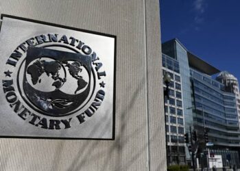 IMF Urges CBN to Prioritize Price Stability Amid Projected Economic Decline