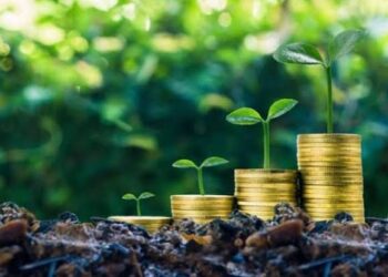 Experts Call for Increased Climate Finance to Tackle Africa's Crisis