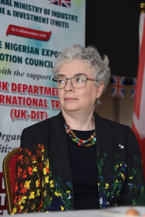 Gill Atkinson, British Deputy High Commissioner to Nigeria