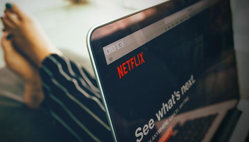 Fight netflix scams