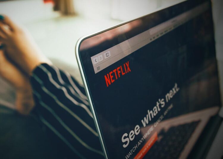 Fight netflix scams