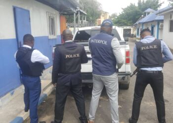 INTERPOL busts cybercrime syndicates