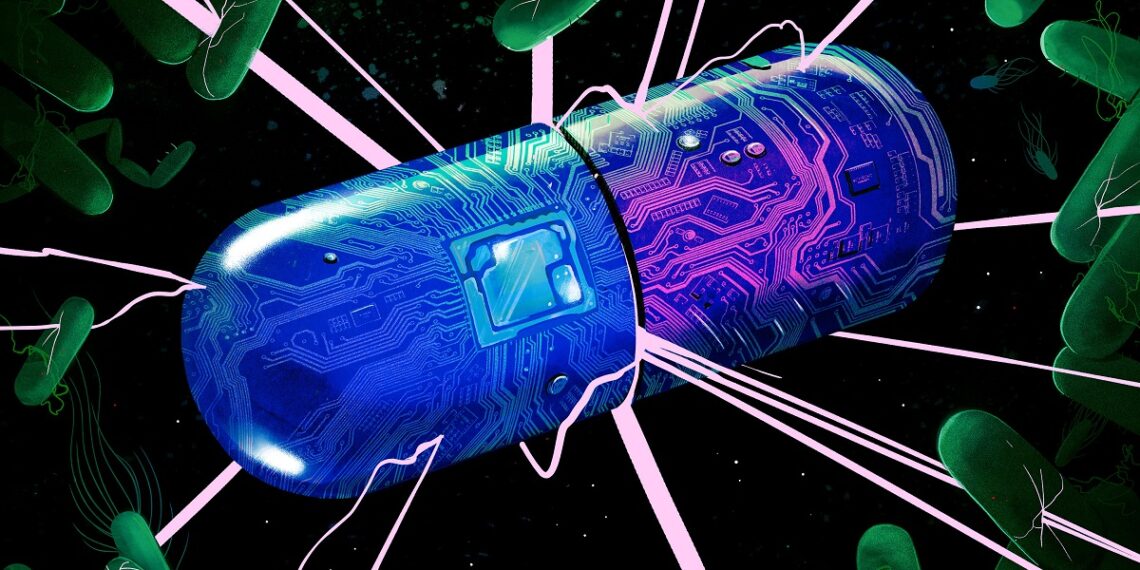 antimicrobial resistance (AMR)