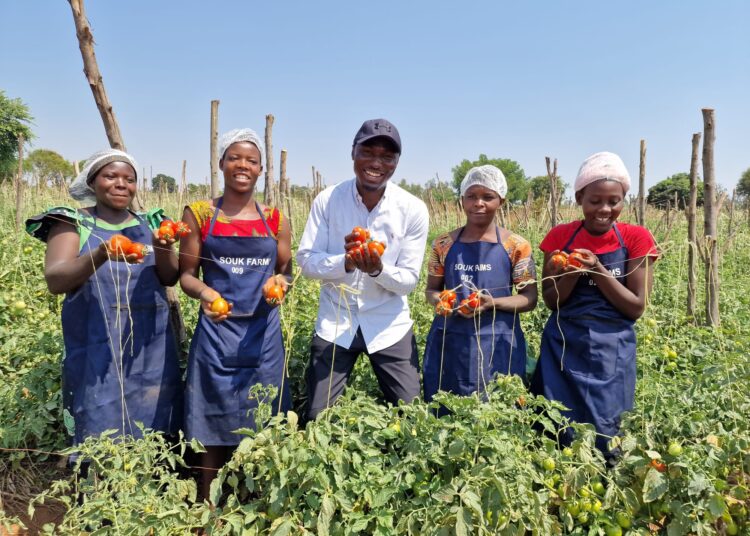 Goodwell Invests in SOUK Farms, Aiding Sustainable Agricultural Scaling in Rwanda