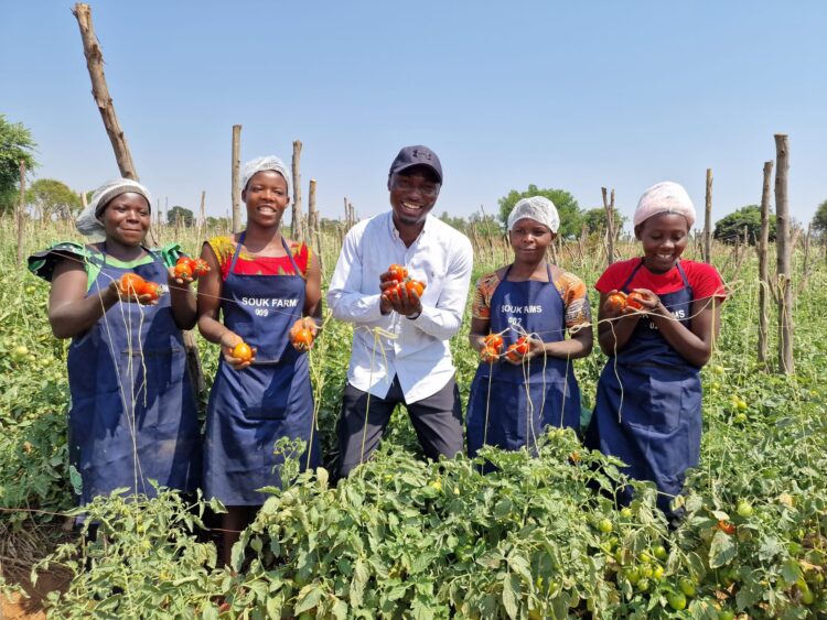 Goodwell Invests in SOUK Farms, Aiding Sustainable Agricultural Scaling in Rwanda