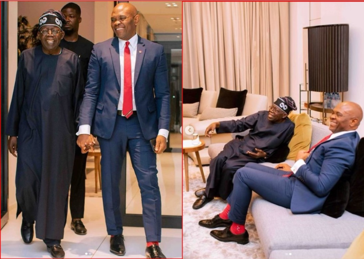 Seven Highlights from Tony Elumelu's Meeting with President Tinubu