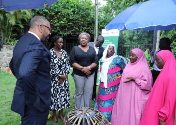 UK Government climate change programme in Nigeria | Propcom+