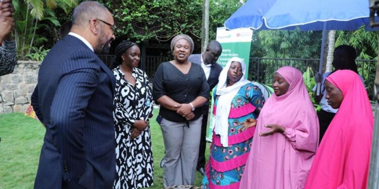 UK Government climate change programme in Nigeria | Propcom+