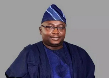 Adebayo Adelabu, Minister of Power speaks on electrification, Electricity