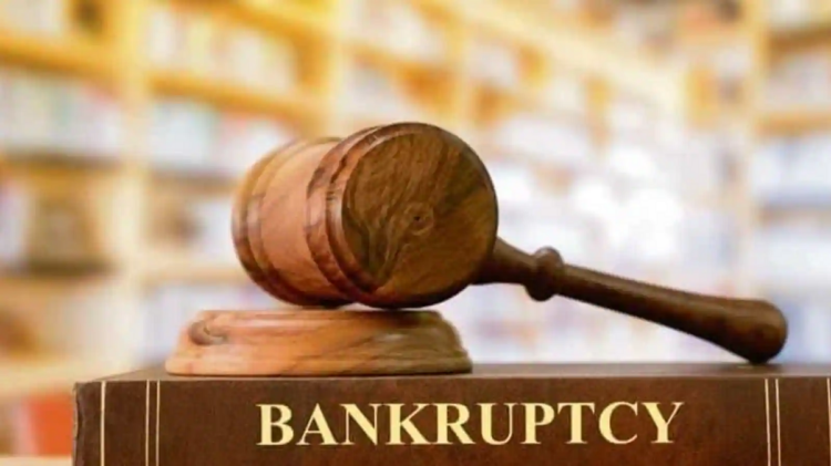 Startups and Bankruptcy