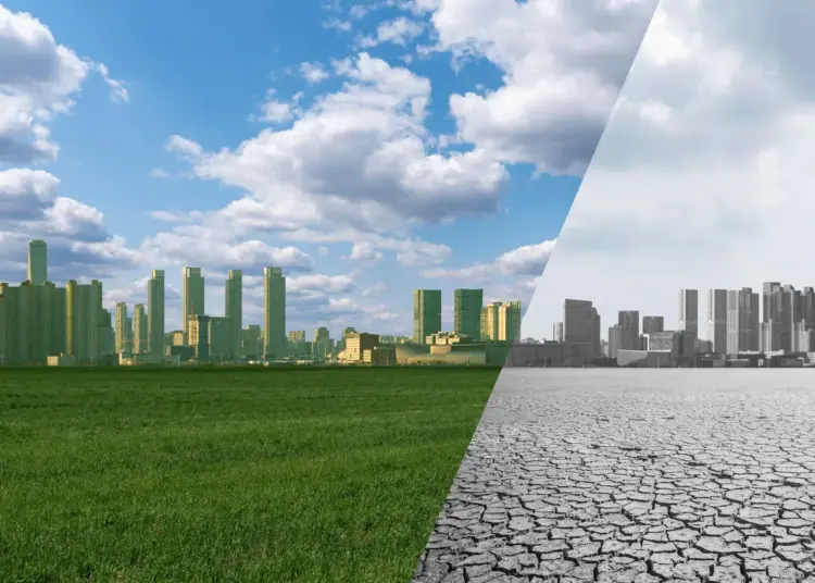 Sustainable Digitization FOR gREEN tRANSITION