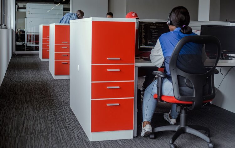 A South African woman working in an office