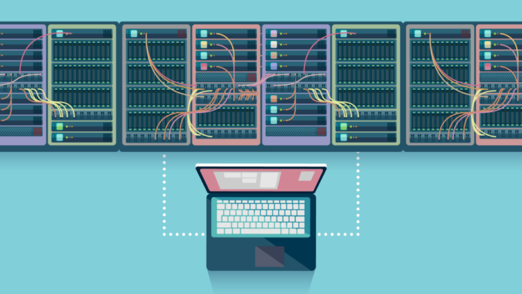 Domain hosting dynamics