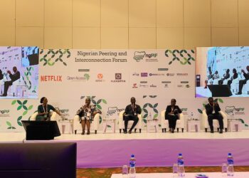 Panelists at ngPIF Emphasis Need for a Robust Digital Infrastructure Ecosystem