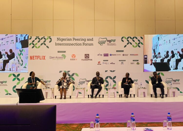 Panelists at ngPIF Emphasis Need for a Robust Digital Infrastructure Ecosystem