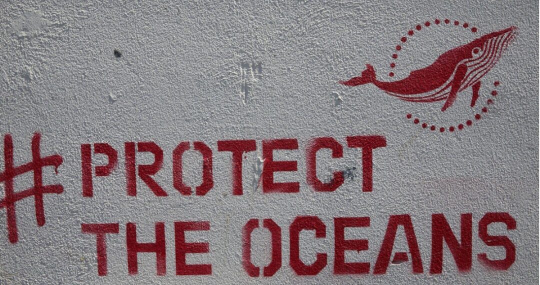 Social Media campaigns against Plastic pollution