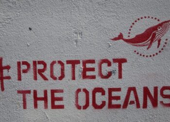 Social Media campaigns against Plastic pollution