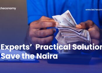 10 Experts’ Practical Solutions to Save the Naira